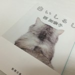 【恋愛小説】西加奈子著「白いしるし」を読んでみた